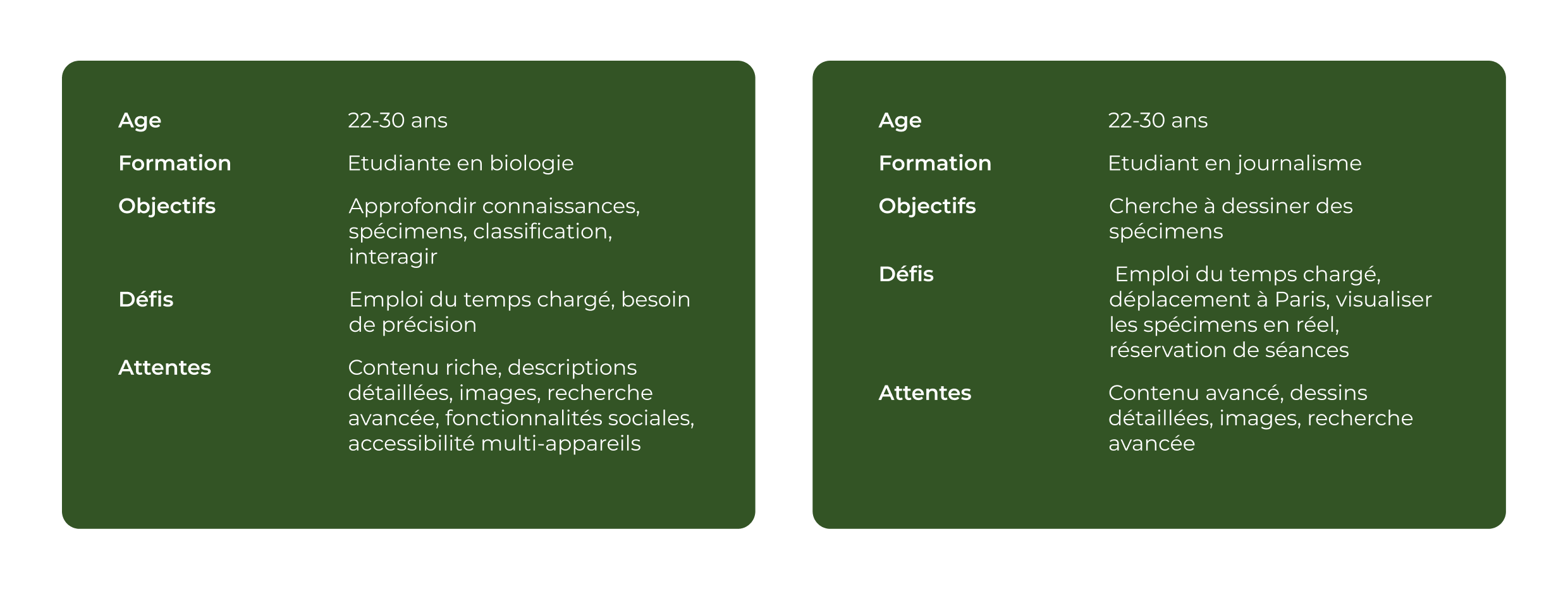 UX Research Process