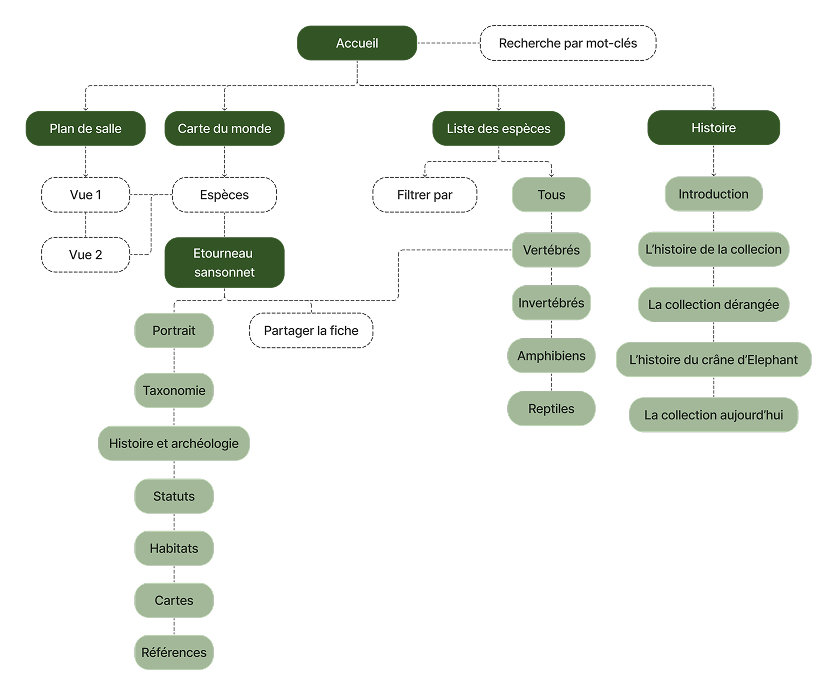 UX Research Process
